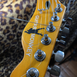 Maple with Rosewood Slab Stray/Tele Medium Jumbo Stainless Steel